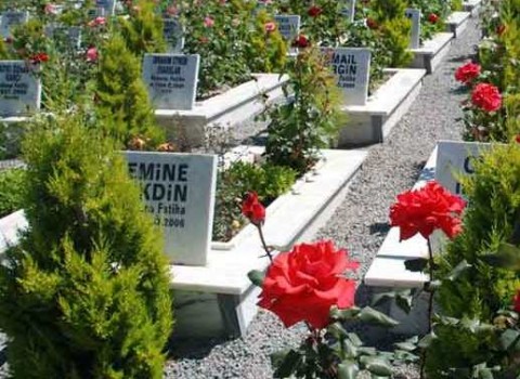 olu arkası yasin
